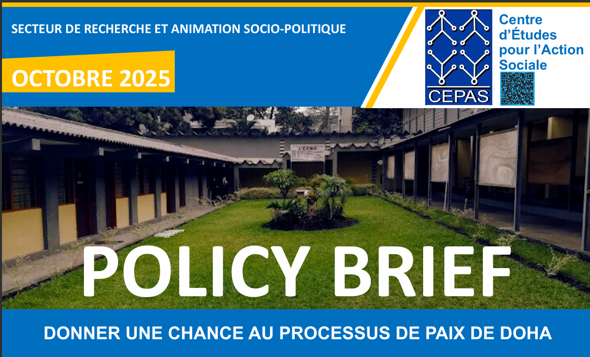 POLICY BRIEF : DONNER UNE CHANCE AU PROCESSUS DE PAIX DE DOHA