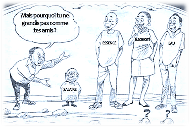 Description du Basic Need Basket