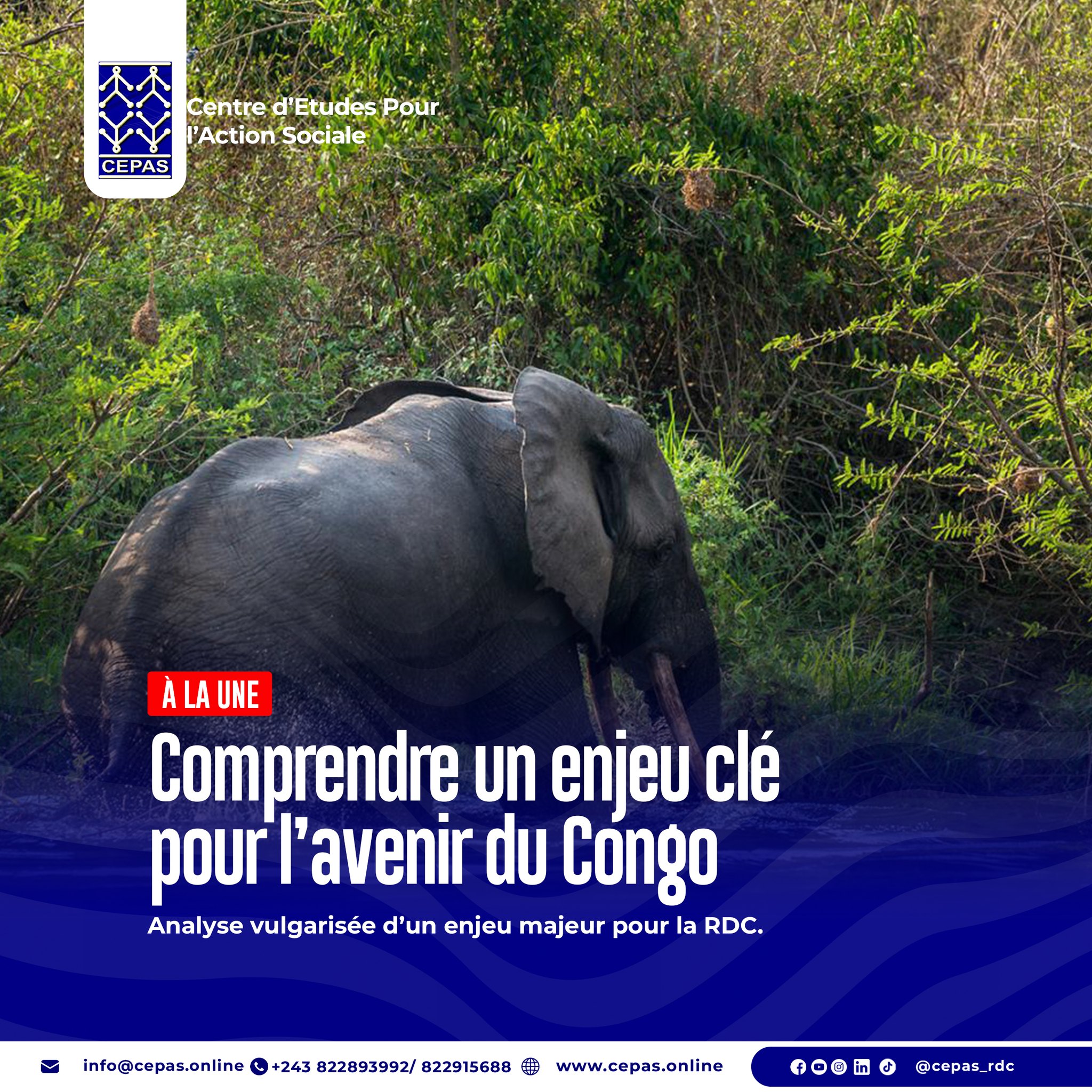 La Malédiction du Paradoxe : Ressources naturelles et crise de la justice sociale en RDC
