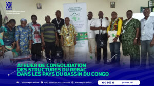 ATELIER DE CONSOLIDATION DES STRUCTURES DU REBAC DANS LES PAYS DU BASSIN DU CONGO